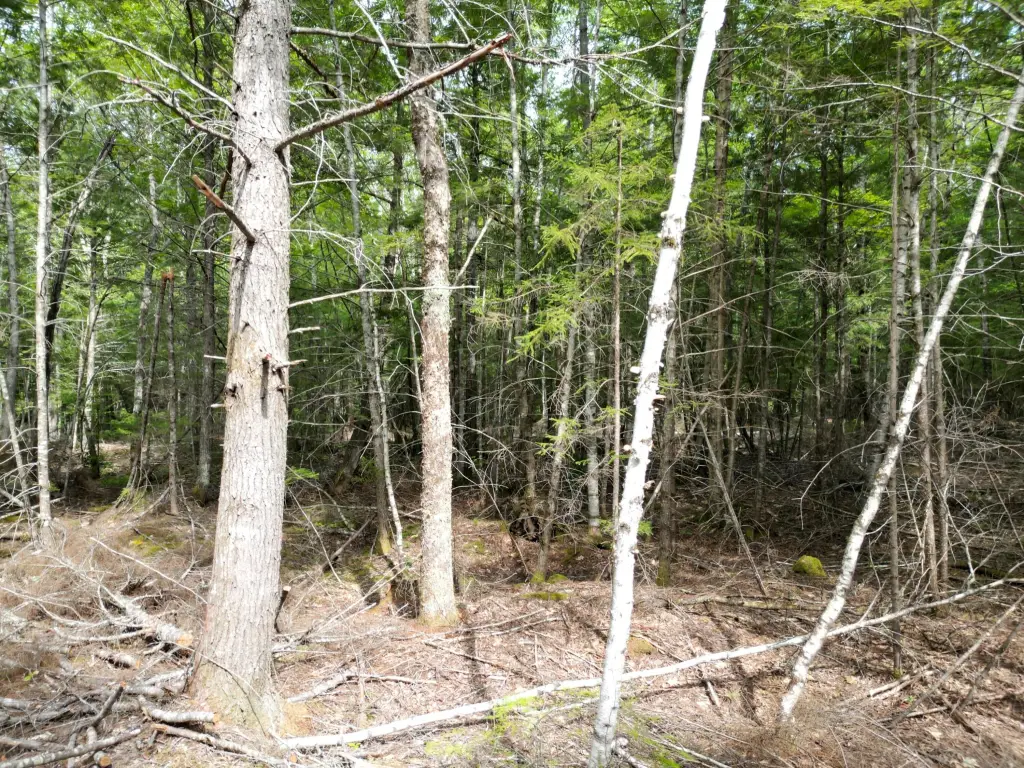 Picture 13