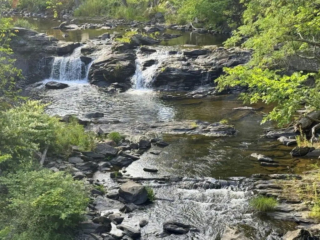 Picture 27