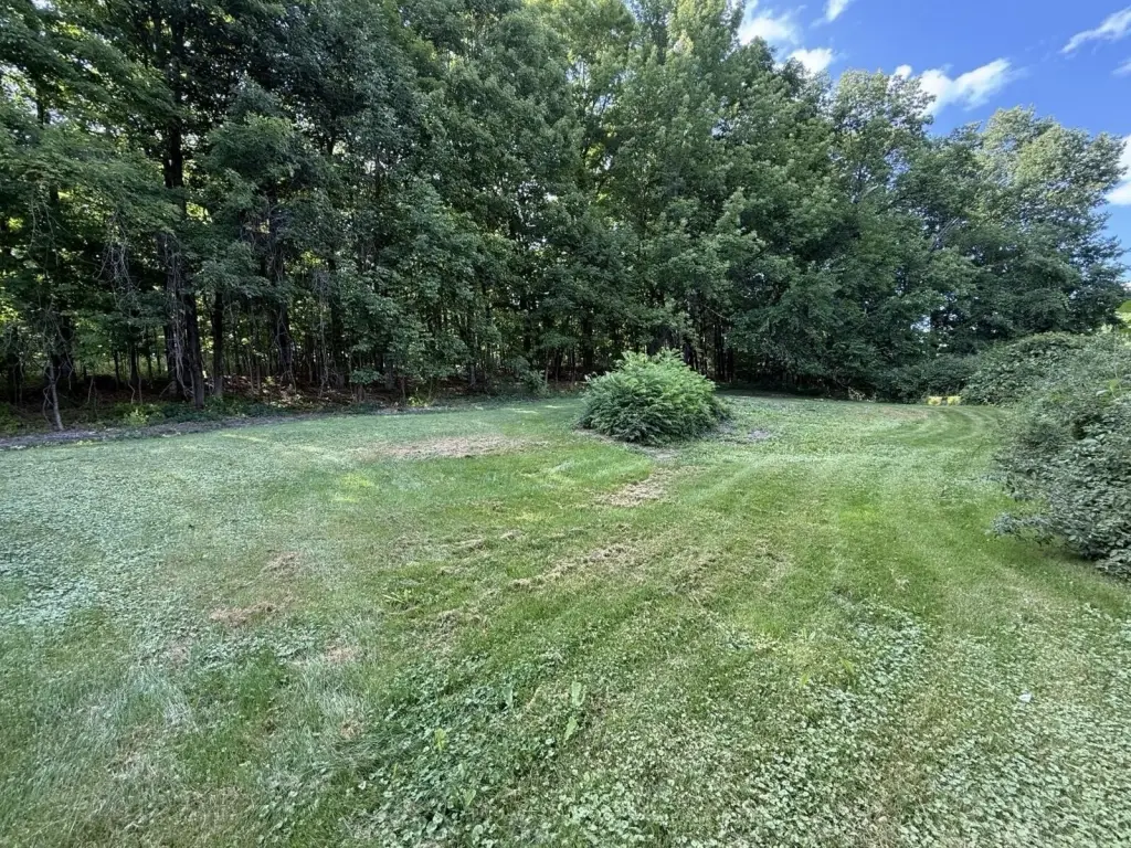 Picture 18