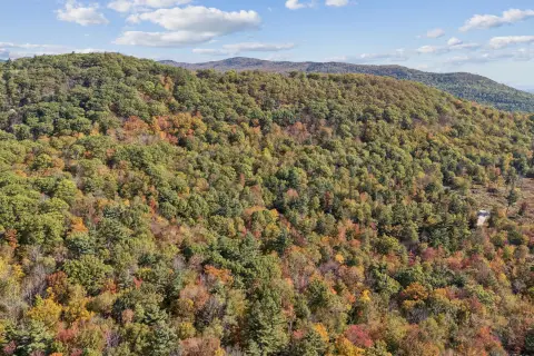 Wooded Rural Land Parcel