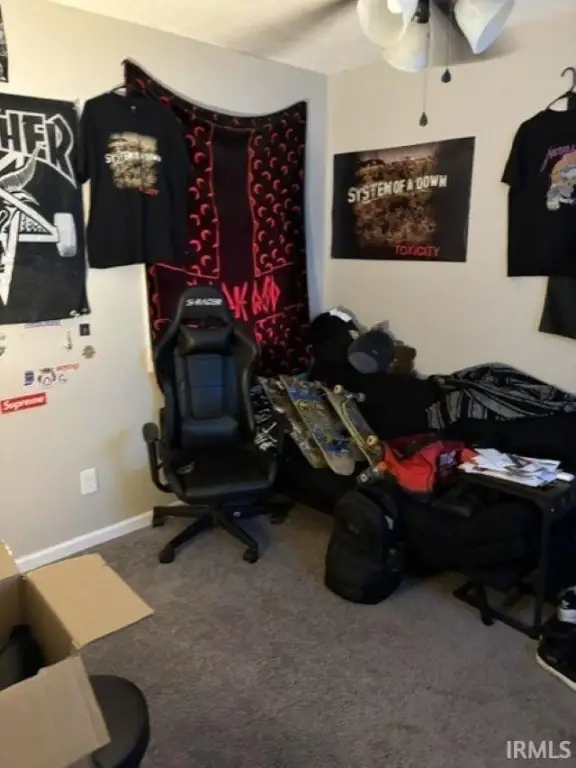 Picture 5