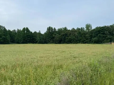 Five Acre Land Parcel