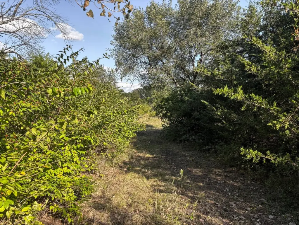 Picture 37