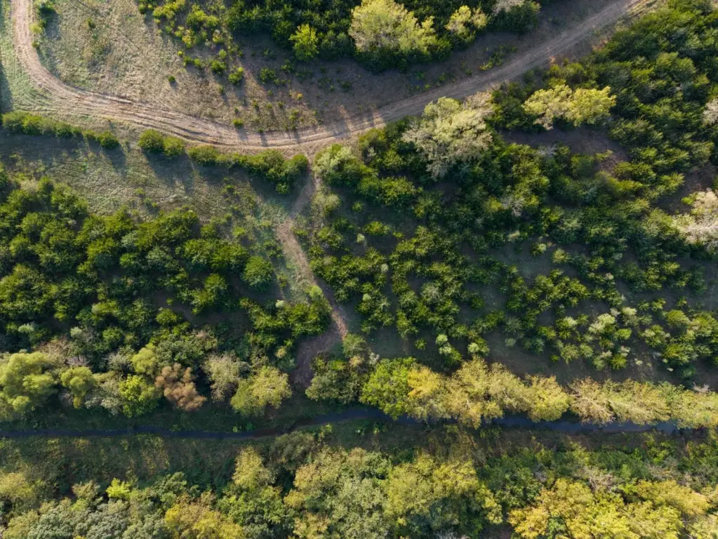 Picture 23