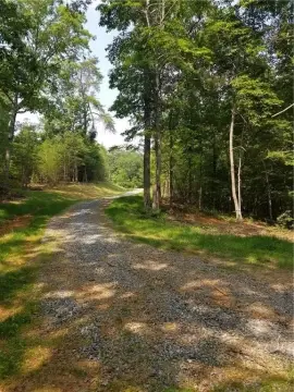 Picture of Land at Lookout Vly Trl 287, Talking Rock, GA