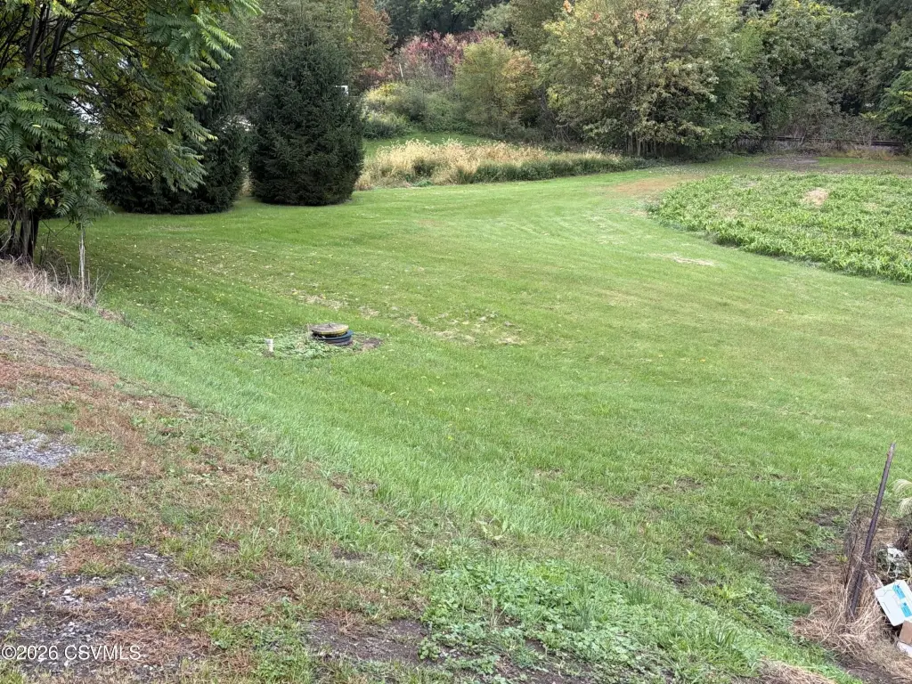 Picture 13