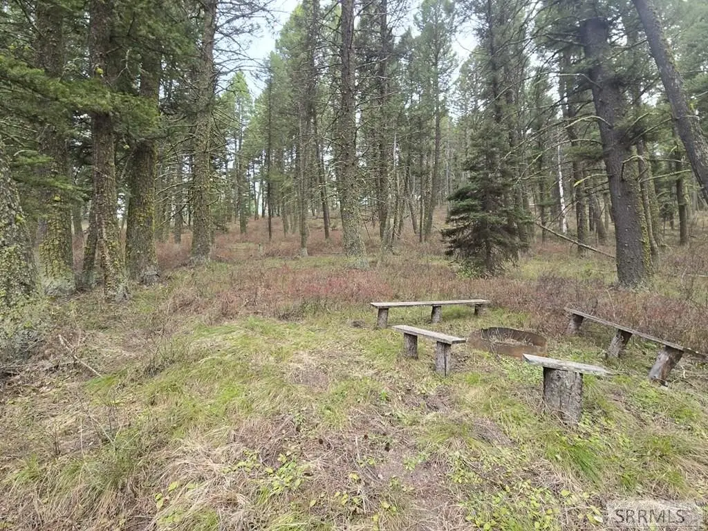 Picture 4