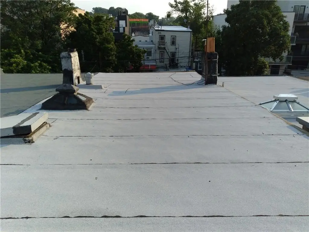 Picture 6