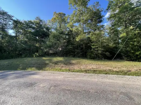 Wooded Lot in Cumberland Lakes
