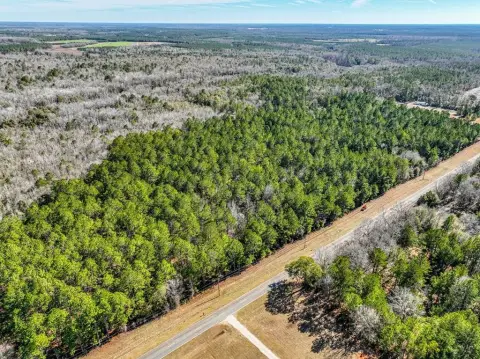 Expansive Land Parcel in Tennille
