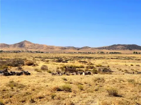 California Valley Land with Views