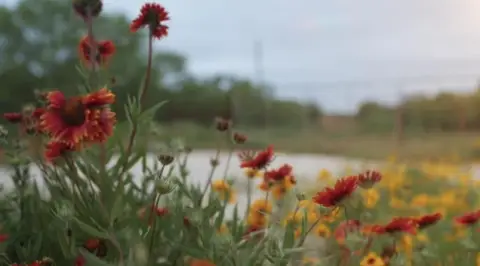 Ridgetop Hunting Ranch in Mullin