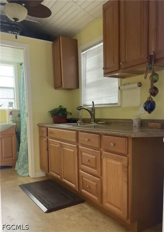 Picture 23