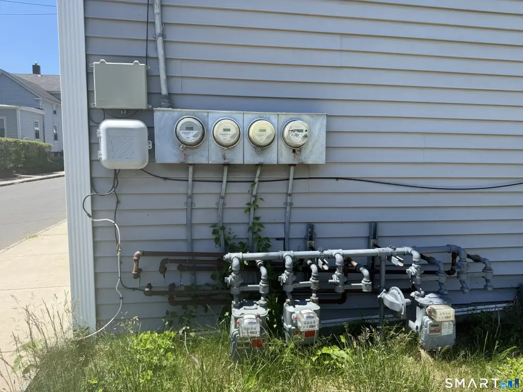 Picture 8