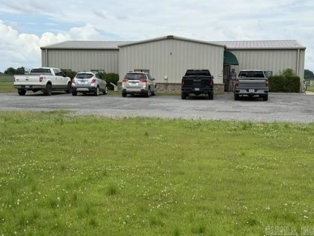 Picture 5