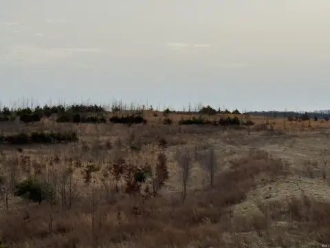 40 Acres Reclaimed Land, Spurgeon