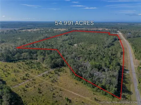 54.99 Acre Tract in Telfair