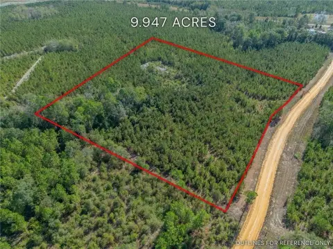 Telfair County Acreage Homesite Potential