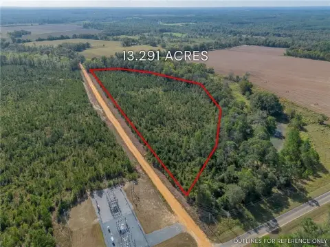 Telfair County Acreage for Sale