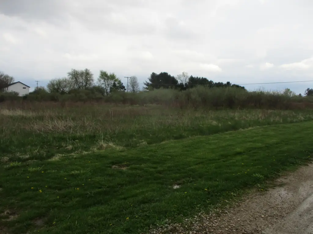 Picture 5