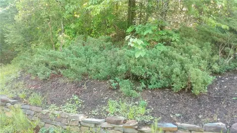 Westminster, SC Corner Lot