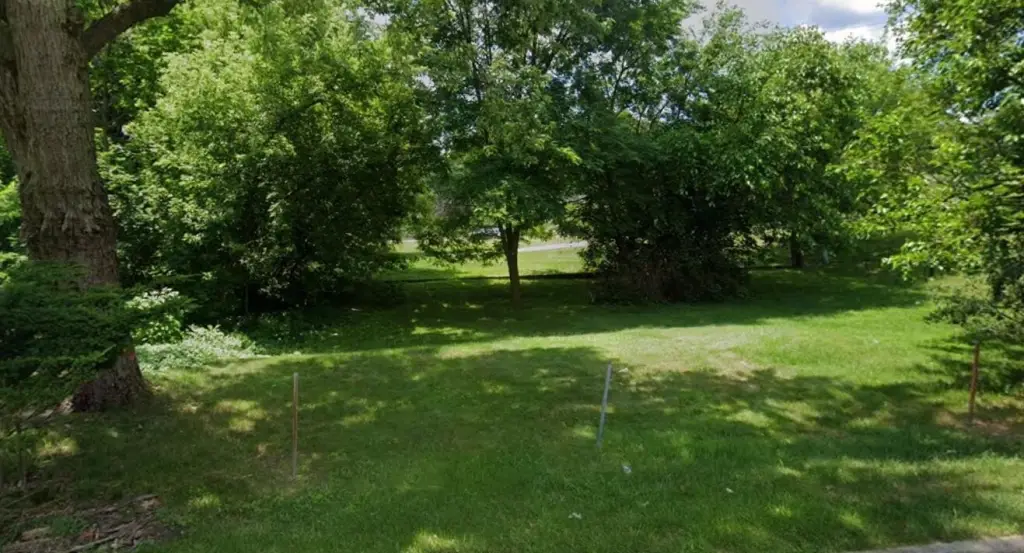 Picture 2