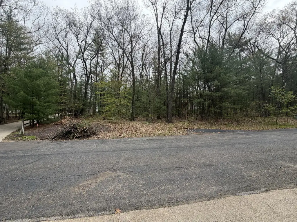 Picture 4