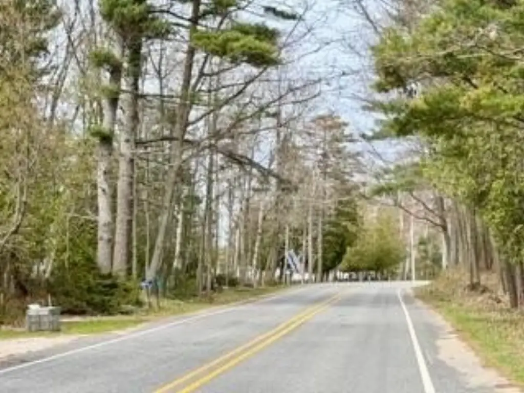 Picture 3