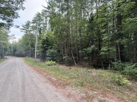 Wooded Land Parcel