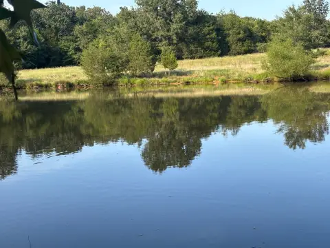 30 Acres of Country Paradise