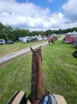 Equestrian Land Near Shawnee Forest