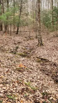 Ellijay, GA Vacant Lot