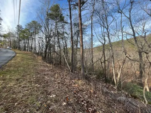 Residential Lot in Waleska, GA