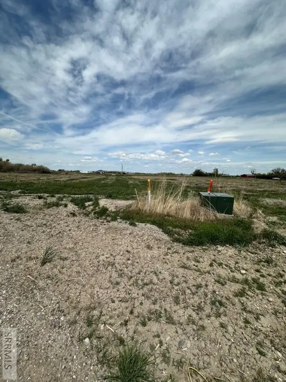 Picture 2