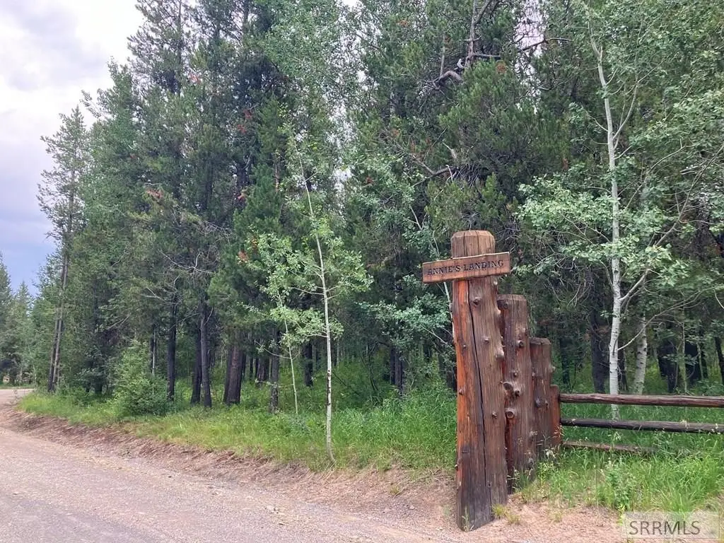 Picture 3