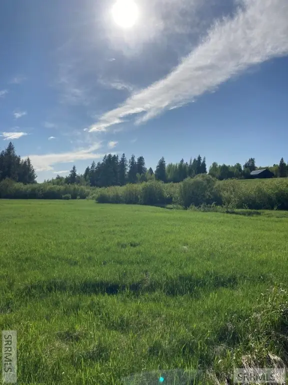Picture 22