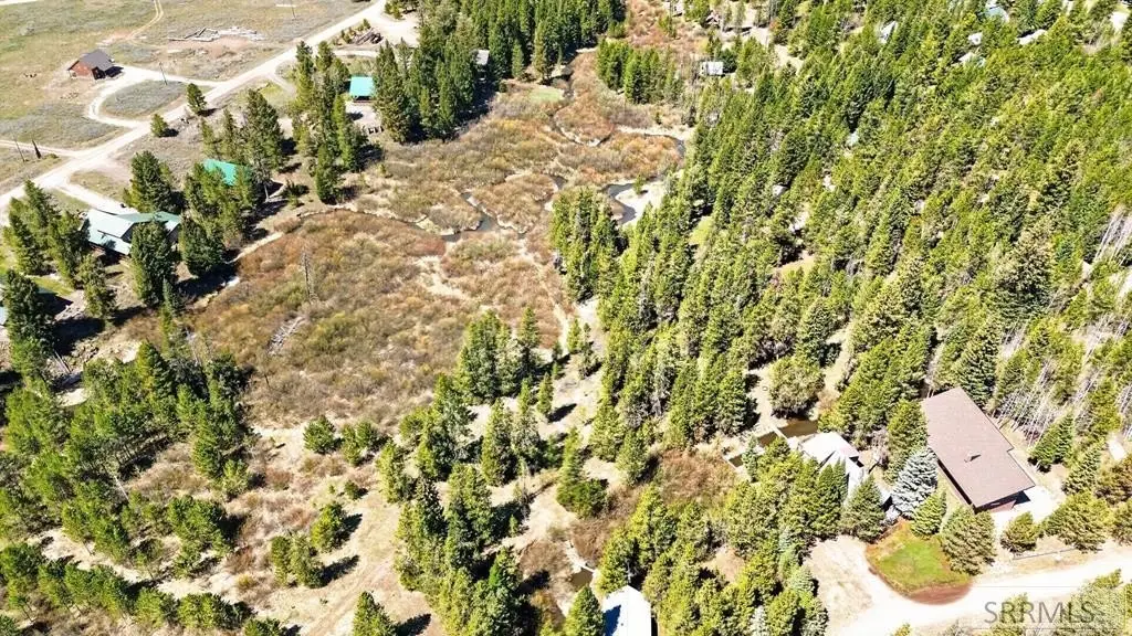 Picture 24