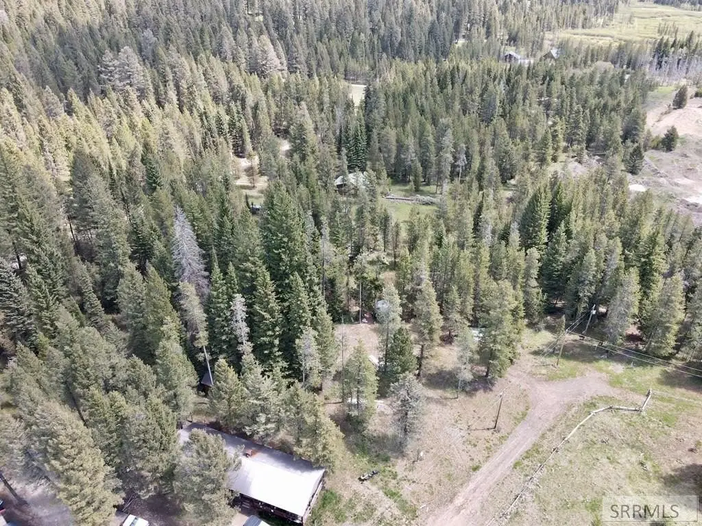 Picture 9