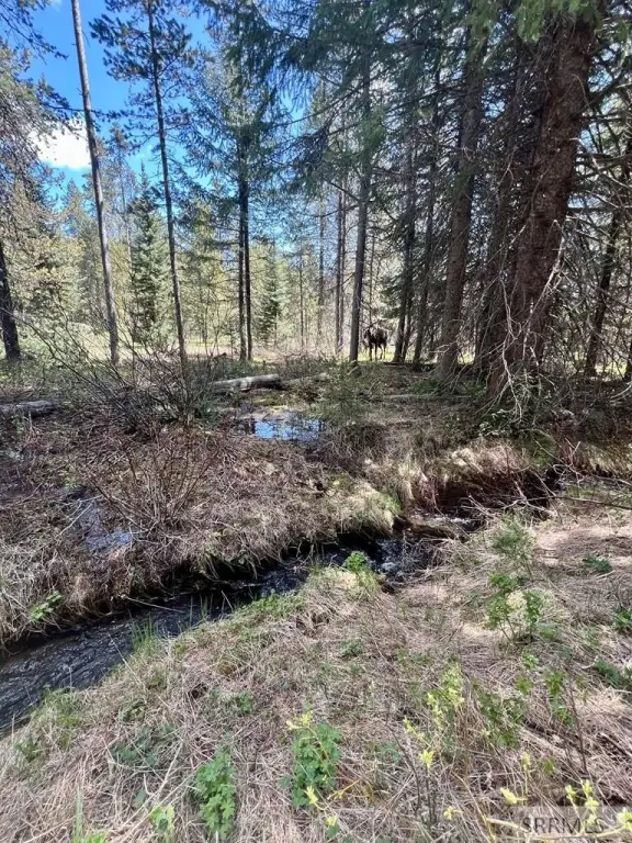 Picture 4