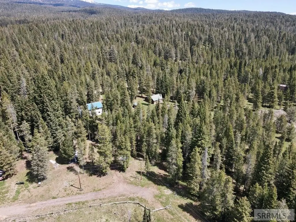 Picture 18