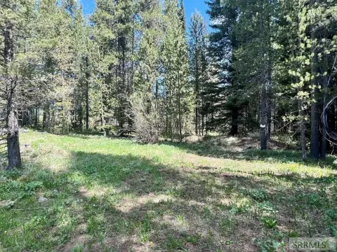 Island Park Land with Utilities