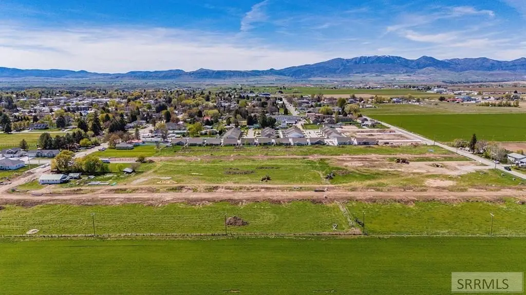 Picture 5