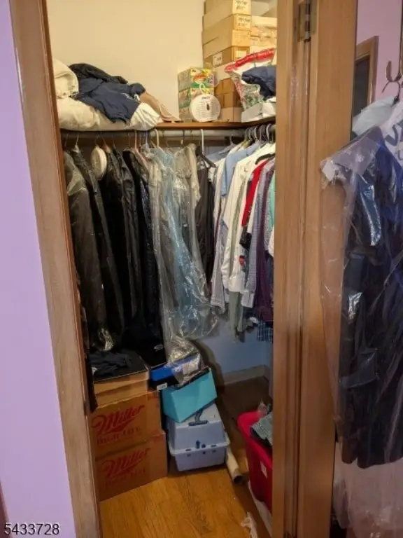 Picture 16