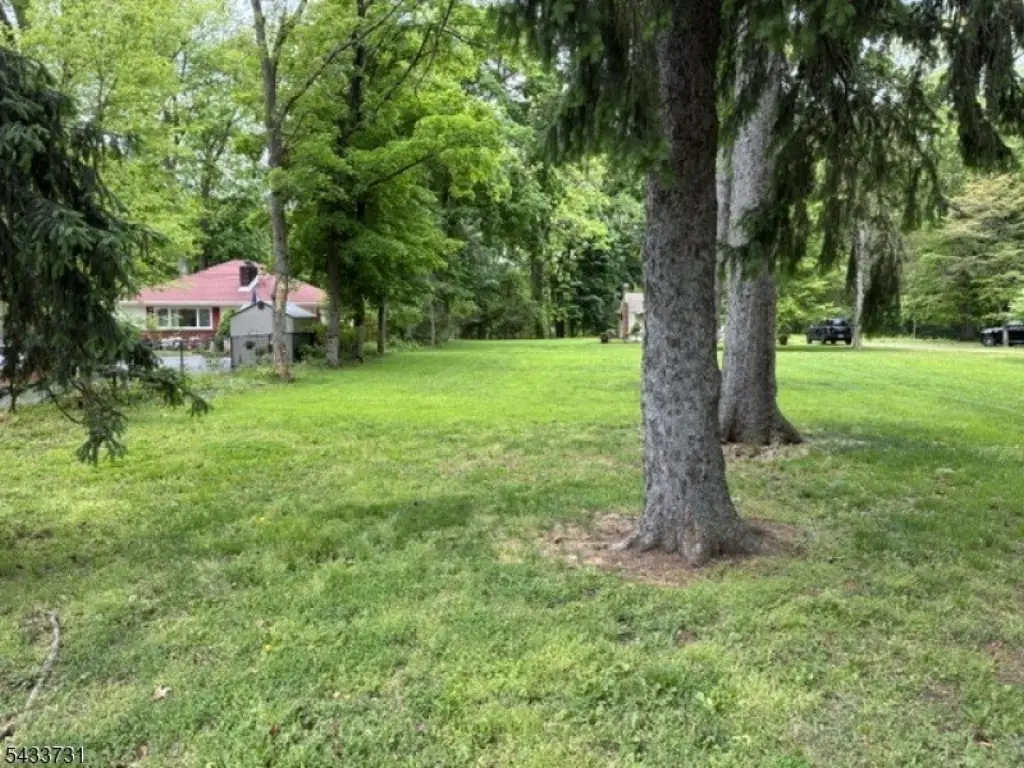Picture 27
