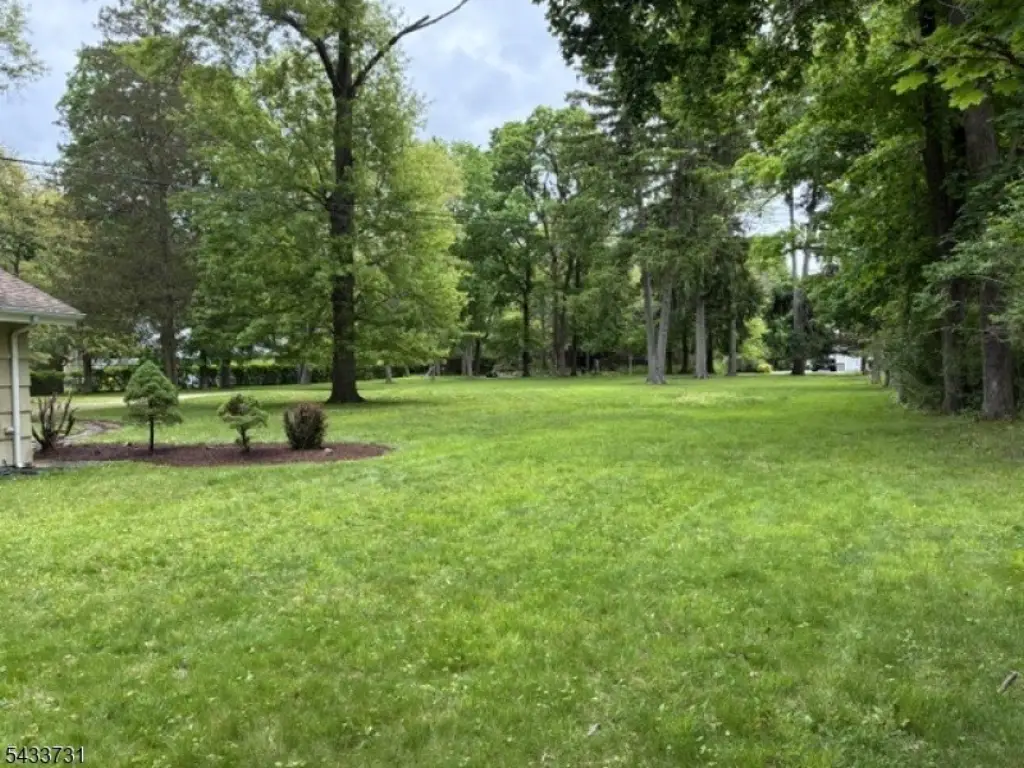 Picture 31