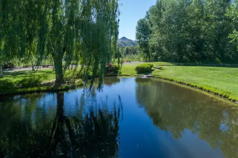 Bellevue Land with River Frontage