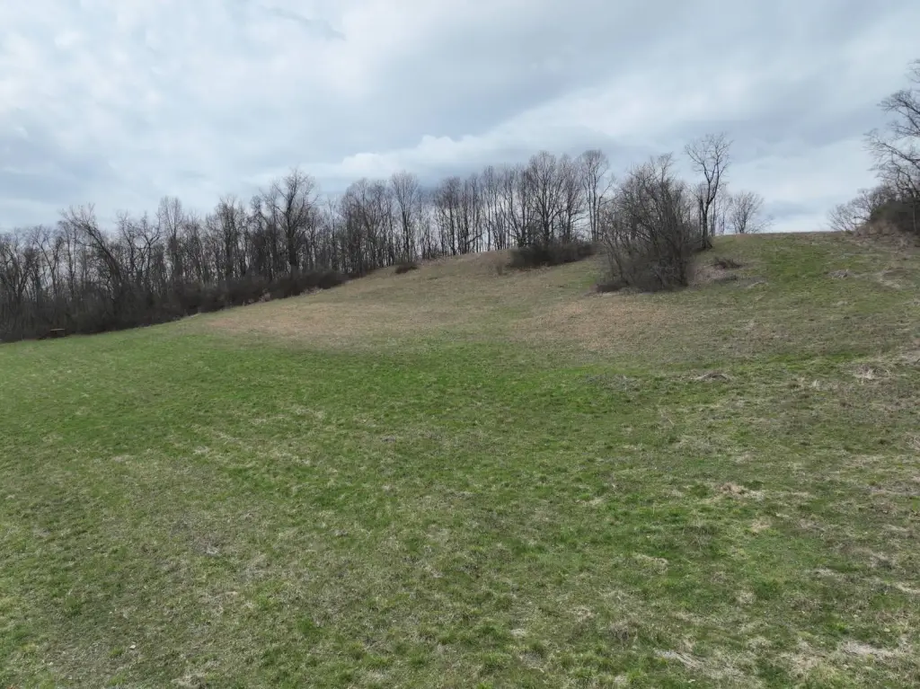 Picture 11