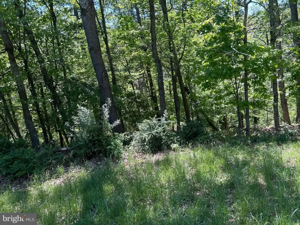 Picture 15