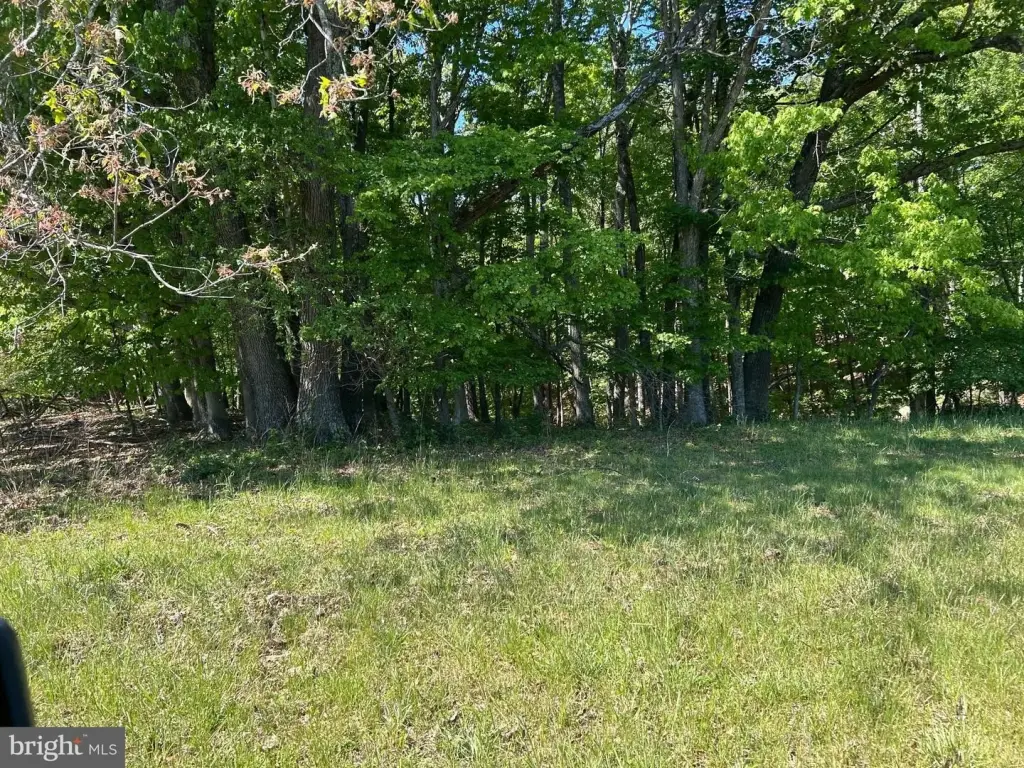 Picture 18