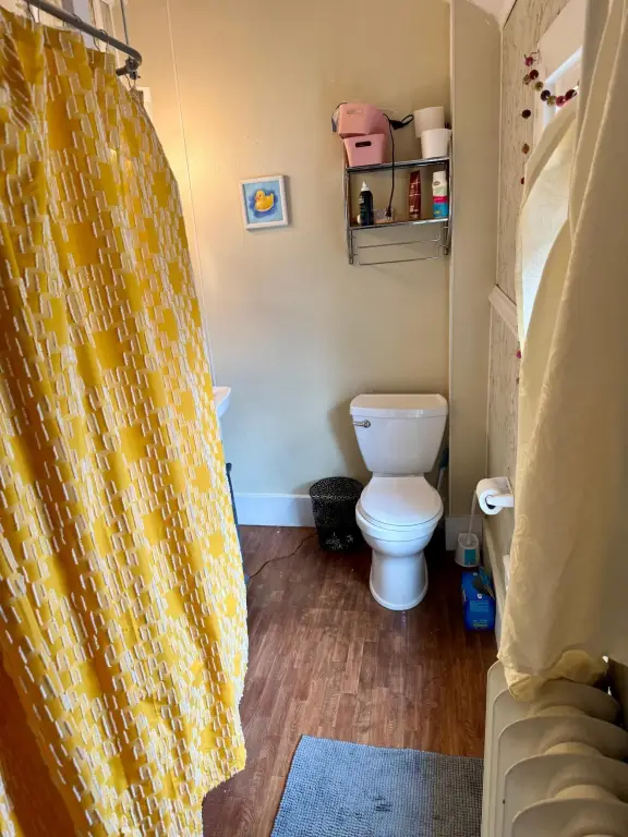 Picture 25